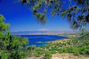 Rent Your Dream Holiday Villa in Paralimni and Look Forward to Relaxing Beside Your Private Pool, Paralimni Villa 1232